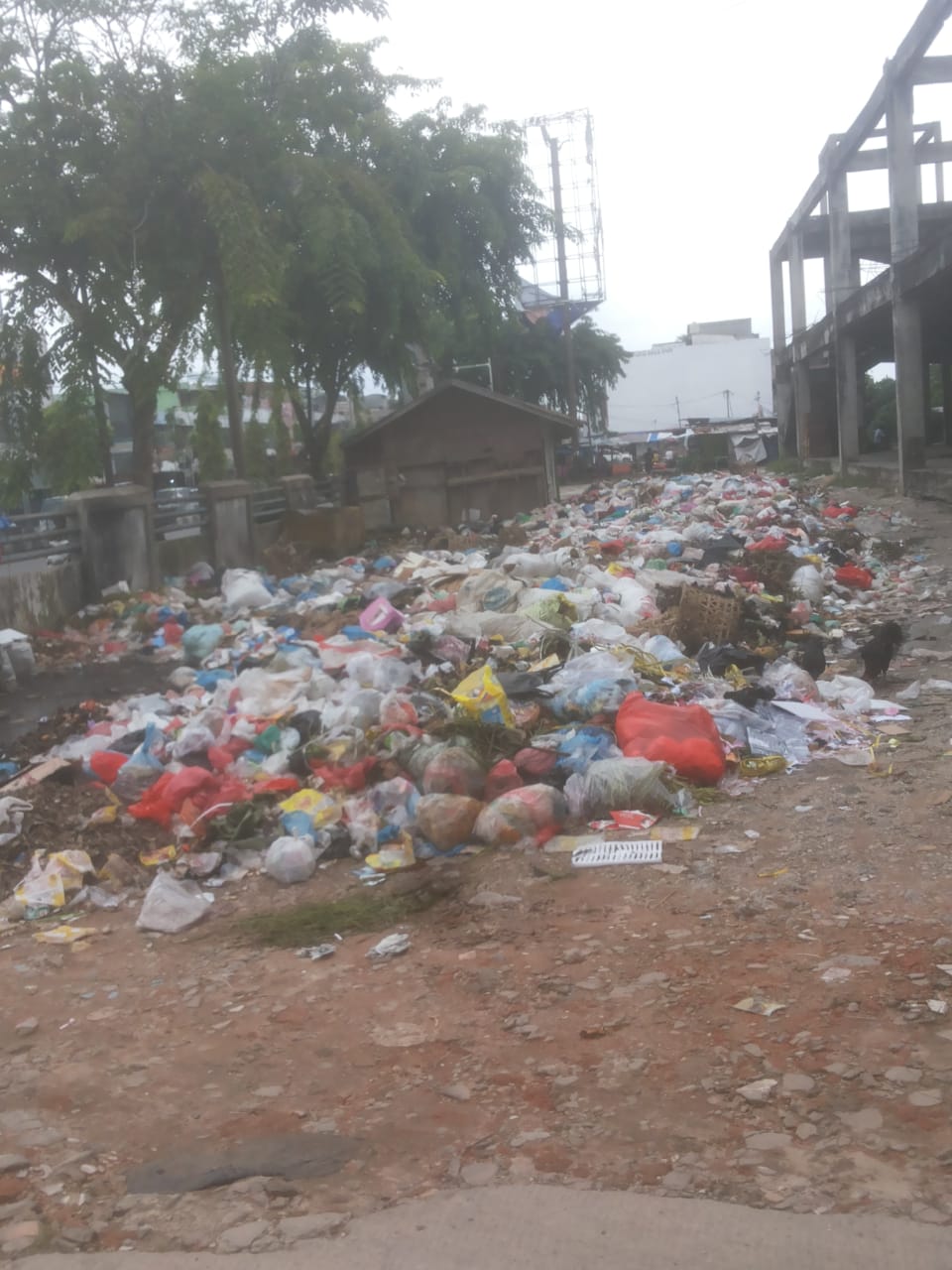 1610625177-RiauBertuah co-IMG-20210114-WA0008